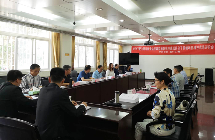 WRKY蛋白通过激素途径调控植物抗性建成的分子机制 anli.jpg